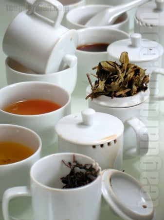 Chantilly Tea: Cupping Teas at the Botanical Gardens