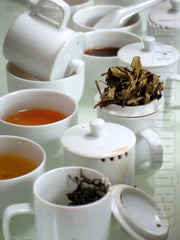 Chantilly Tea: Cupping Teas at the Botanical Gardens